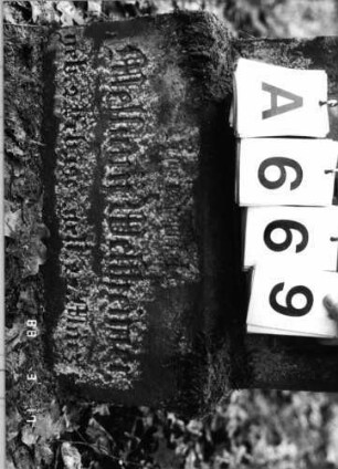 Grabstein 669 (Index: 99901911) Material: Sandstein Maße HxBxT: 100x51x32 cm Besonderheit: Kindergrab: Grabstein 669A