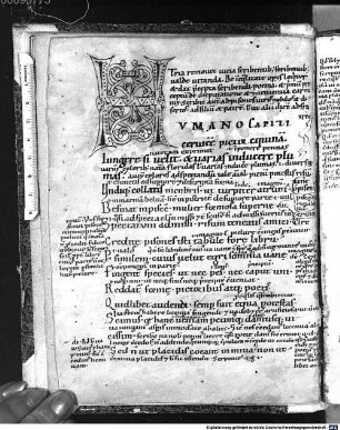 Horatii ars poetica et epistolarum libri II cum glossis marginalibus et interlinearibus - BSB Clm 14693