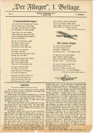 "Der Flieger", 6.1.1918