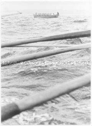 Blick auf ein Ruderboot