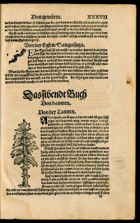 Das sibendt Buch Von baumen.