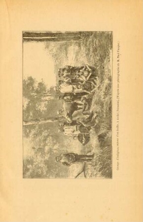 Groupe d'indigènes autour d'un buffle, à Atché (Sumatra)