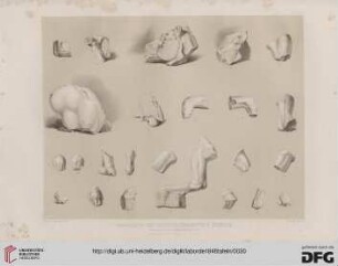 Fragments des Frontons conservés à Athènes