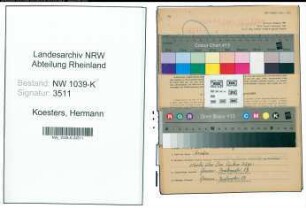 Entnazifizierung Hermann Koesters , geb. 03.05.1901 (Versandleiter)