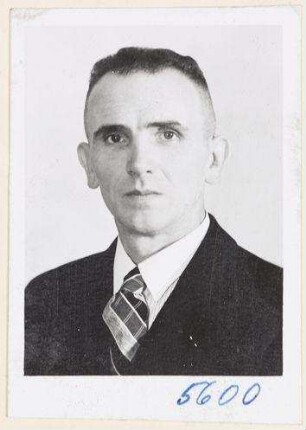 Johann Lamza, Zimmerhauer