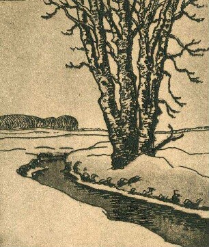 Die Kossau mit Baumpaar im Winter