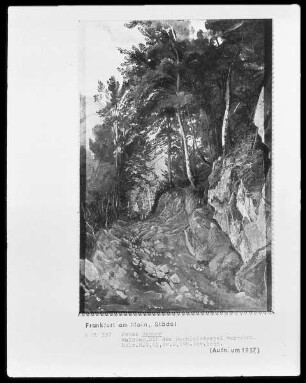 Waldweg im Gebirge