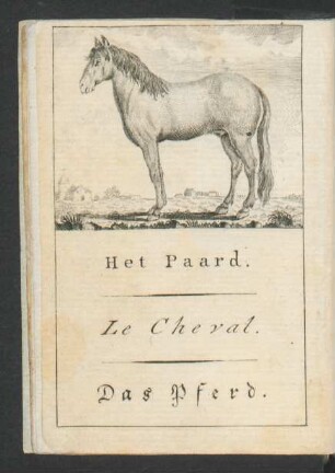 Tafel: Het Paard. Le Cheval. Das Pferd.