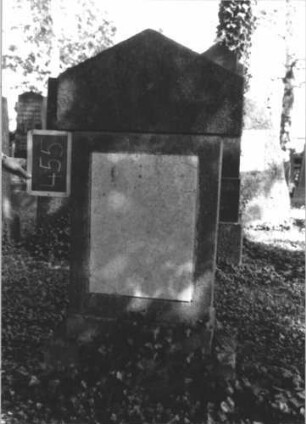 Grabstein 455 (Index: 100111707) Material: Kalkstein, weiße Marmorplatte Zustand: gut; Schriftplatte ohne Inschrift Maße HxBxT: 146x68x26 cm Beschreibung: Stele, Sockel, Giebel, rechteckige Schriftplatte: Grabstein 455