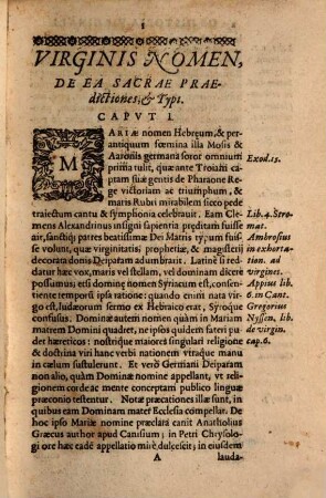 R.P. Ioannis Bonifacii Soc. Iesv Theol. De Divæ Virginis Mariæ. Vita Et Miracvlis : Libri V.