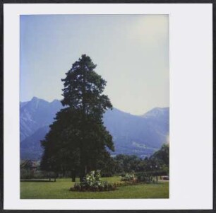 Blick von Bad Ragaz auf die Alpen