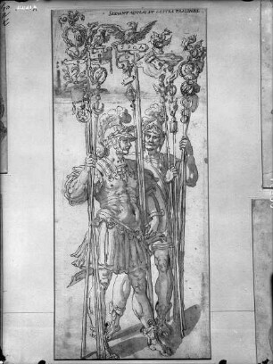 Adler- und Drachenträger