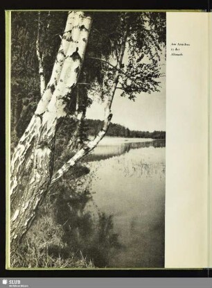 Am Arendsee in der Altmarkt