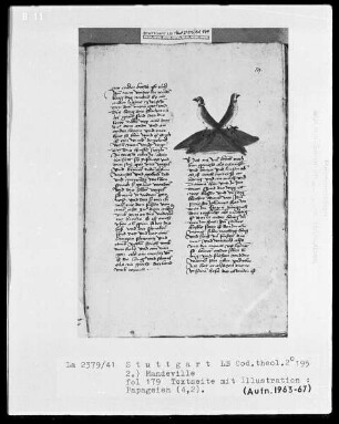 Jacob von Teramo, Belial und Johannes von Mandeville, Reise nach Jerusalem — Jean de Mandeville, Die Reise nach Jerusalem — Papageien, Folio 179recto