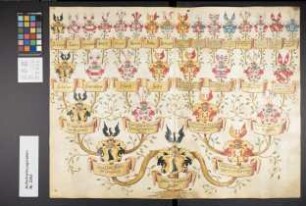 Proband: Schilder, Johann Wilhelm von; Vater: Schilder, Arnold von; Mutter: Galen, Catharina von: Münster, Fbstm, Ritterschaft
