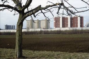 Möhringen: Reihenhäuser, Vordergrund kahler Obstbaum