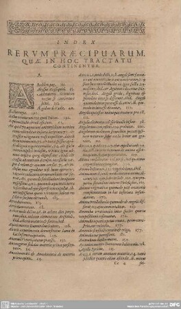 Index. Rerum praecipuarum, quae in hoc tractatu continentur.