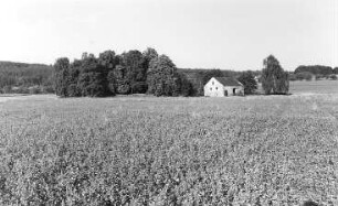 Hochkirch-Sornßig. Ehem. Mühle, Scheune, erhaltener Rest des Gehöfts und bewaldeter ehemaliger Mühlteich