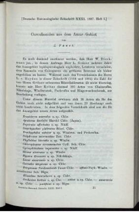 Curculioniden aus dem Amur-Gebiet