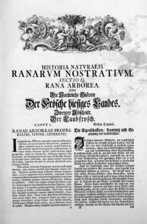 Sectio II. Rana Arborea. - Zweyter Abschnitt. Der Laubfrosch