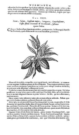 Cap. XXIV. Cacao, Cajous, Capsicum majus, Caraguata, Carpobalsamus, Cassia fistula Orientalis & Occidentalis, Castanea equina Indica