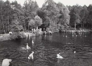 Freibad mit Badenden