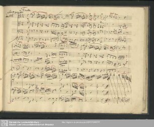 [6.] Finale. Rondo grazioso.