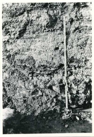 Dresden-Gittersee. Baugrube am Schacht 1. Nordwest-Stoß. Konglomerate