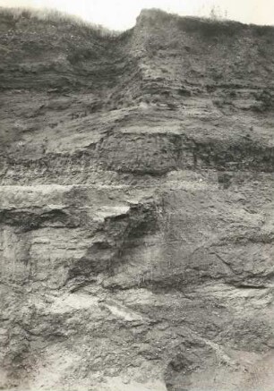 Wand einer Kiesgrube mit Sand-Kies-und Lehmschichten des Altpleistozän. Podelwitz-Goldschau ssö Altenburg, Kiesgrube
