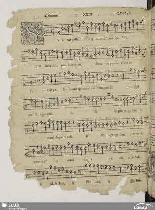 XXIII. Surrexit pastor bonus