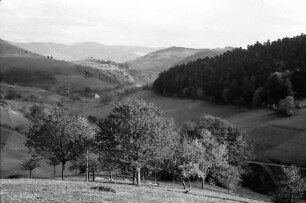 Münsterhalden: Fernblick zum Kleinen Wiesental; unten Baumgruppe