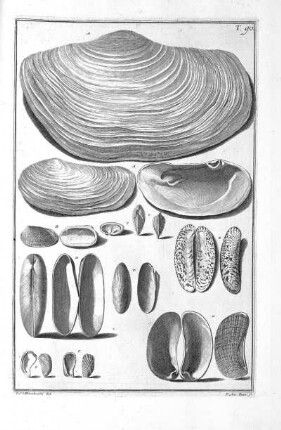 Tab. 90