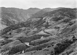 Landschaft : Blick auf die von Erosionsrissen zerklüftete Landschaft, an den Hängen Getreidefelder, Weiden und Macchie.