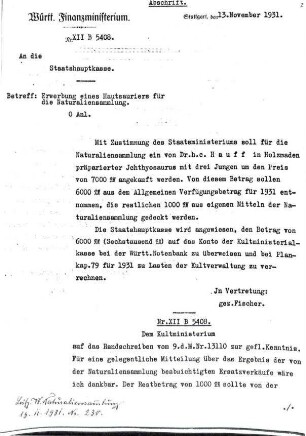 Abschrift Interner Schriftwechsel zwischen Finanz- und Kultministerium bezüglich Zahlungsvereinbarung des "Hautsauriers mit Jungen"