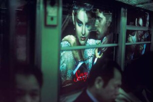 Japan. Im Vorortzug nach Tokyo // Train to Tokyo