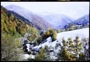 Buchenbach: belaubtes und verschneites Höllental, mit Falkensteig und Nessellachen, rechts Schneefeld