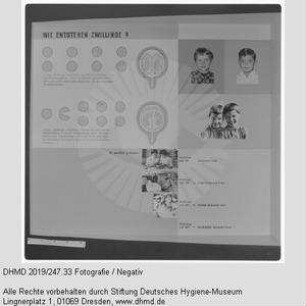 Nationale Hygiene-Ausstellung - Raum 14 - "Wie entstehen Zwillinge?"