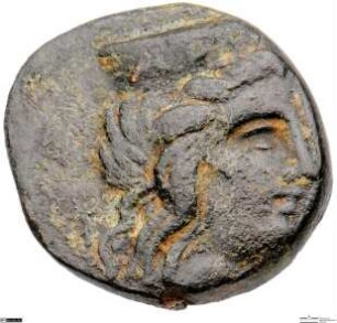 Argos