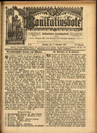 Ausgabe vom Sonntag, den 17. November 1895.