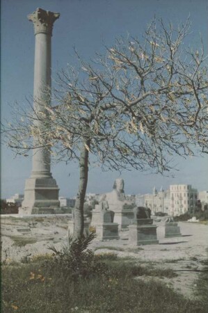 Pompeius Säule : Reisefotos Ägypten. Alexandria. Pompeius Säule. Assuangranit; Höhe 26-29 m (3. Jh. v. Chr.) und Sphinx