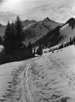 Winterbilder. Gebirgslandschaft mit Spuren im Schnee (wahrscheinlich in den Alpen)
