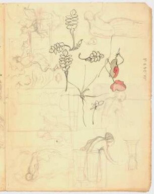 Figuren- und Pflanzenskizzen : Skizzen von Pflanzen; Figurenskizzen, Studie einer Tänzerin