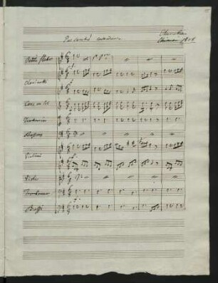 Pas sauté; orch; G-Dur