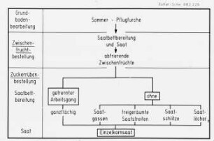 Übersicht: Erosion, Umweltschutz, Zuckerrübe, Einzelkornsaat