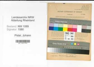 Entnazifizierung Johann Pistel , geb. 20.04.1902 (Unterbrandmeister)
