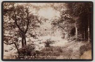 Böhmische Schweiz. Paulinengrund (Pavlina Udoli) am Rennersdorfer Steig. Photographie; 102 x 161 mm. Aufnahme 1885