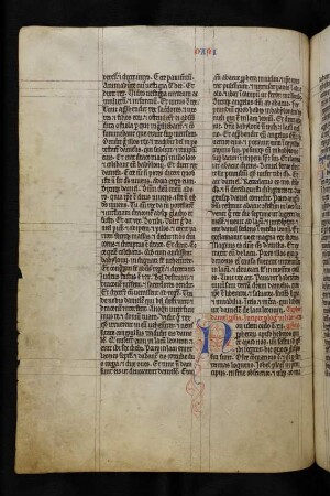 Prologi in libros duodecim prophetarum