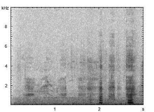 Hausesel | Equus asinus f. asinus - Lautfolge