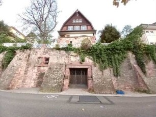 Heidelberg-Neuenheim Neuenheimer Landstraße 42