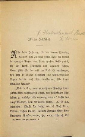Am Hofe Lorenzos : historischer Roman, 1